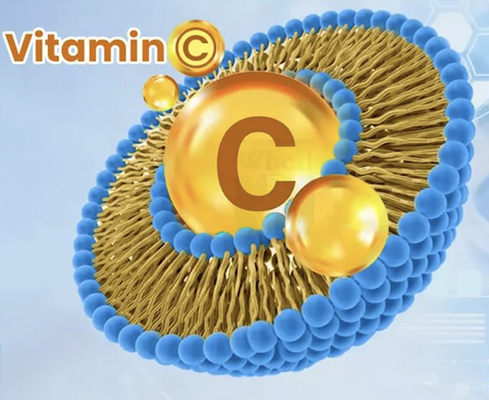 kaufen Liposomal Vitamin C mit erhöhter Bioverfügbarkeit für Festgetränke Pulver und Flüssigkeit Online-Herstellung